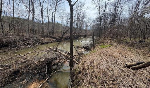 Photo #31 of Doll Branch, Milton, NC 64.7 acres