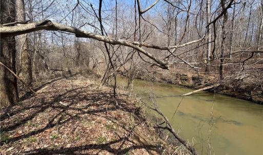 Photo #29 of Doll Branch, Milton, NC 64.7 acres