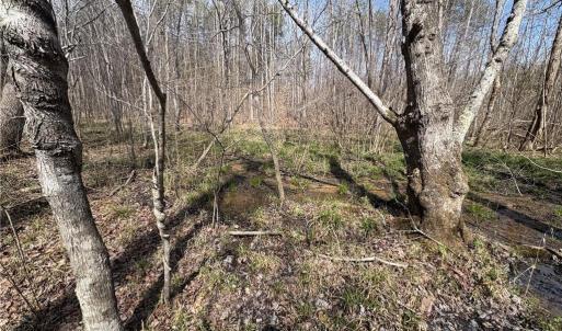 Photo #27 of Doll Branch, Milton, NC 64.7 acres