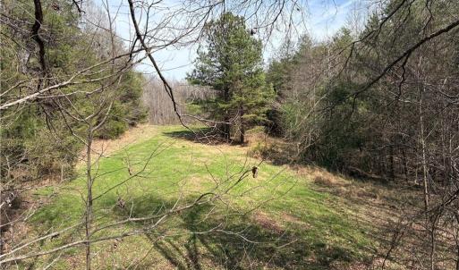 Photo #17 of Doll Branch, Milton, NC 64.7 acres