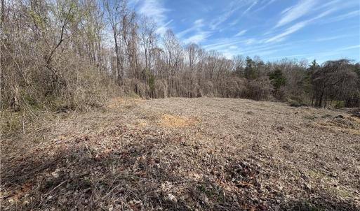 Photo #12 of Doll Branch, Milton, NC 64.7 acres