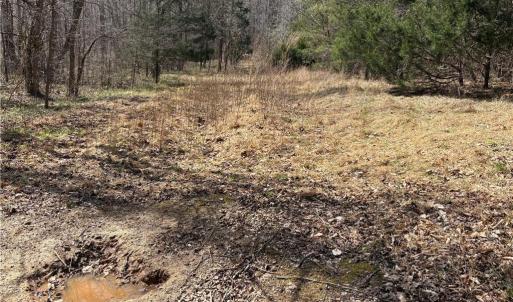 Photo #26 of Doll Branch, Milton, NC 64.7 acres