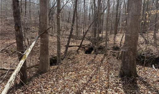Photo #22 of Doll Branch, Milton, NC 64.7 acres