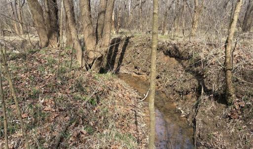 Photo #32 of Doll Branch, Milton, NC 64.7 acres