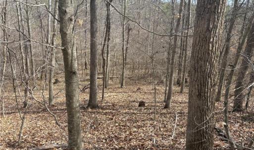 Photo #34 of Doll Branch, Milton, NC 64.7 acres