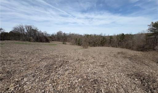 Photo #38 of Doll Branch, Milton, NC 64.7 acres