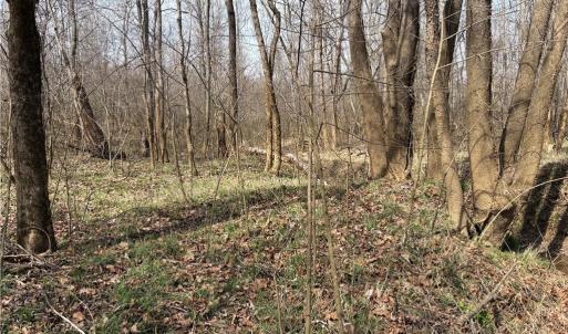 Photo #33 of Doll Branch, Milton, NC 64.7 acres