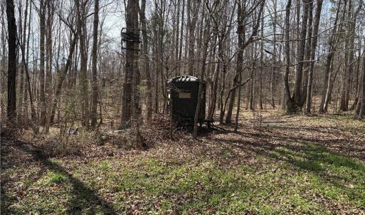 Photo #18 of Doll Branch, Milton, NC 64.7 acres