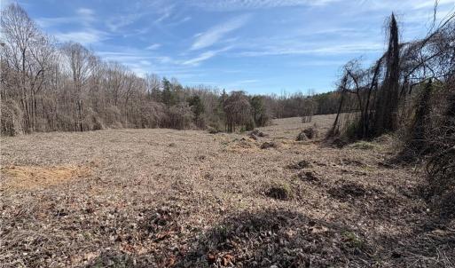 Photo #11 of Doll Branch, Milton, NC 64.7 acres