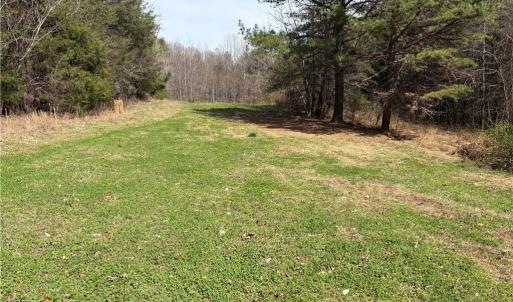 Photo #19 of Doll Branch, Milton, NC 64.7 acres