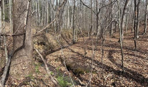 Photo #23 of Doll Branch, Milton, NC 64.7 acres