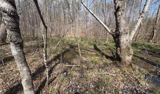 Photo #27 of Doll Branch, Milton, NC 64.7 acres