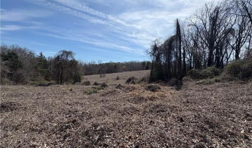 Photo #13 of Doll Branch, Milton, NC 64.7 acres