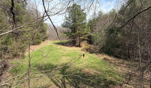 Photo #17 of Doll Branch, Milton, NC 64.7 acres
