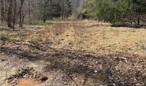 Photo #26 of Doll Branch, Milton, NC 64.7 acres