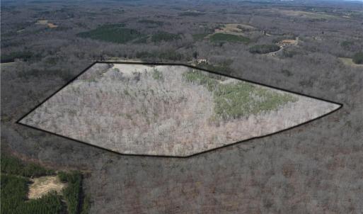 Photo #3 of Doll Branch, Milton, NC 64.7 acres