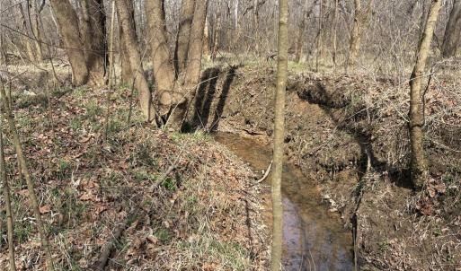 Photo #32 of Doll Branch, Milton, NC 64.7 acres