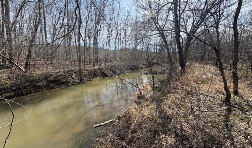 Photo #28 of Doll Branch, Milton, NC 64.7 acres