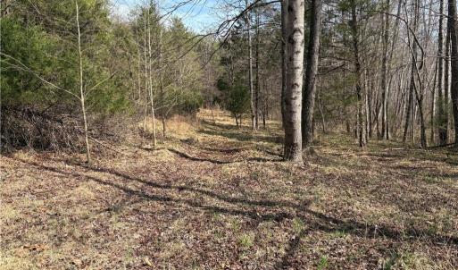 Photo #24 of Doll Branch, Milton, NC 64.7 acres