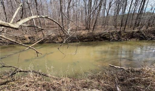 Photo #30 of Doll Branch, Milton, NC 64.7 acres