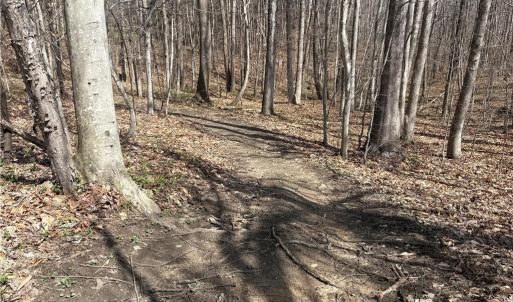 Photo #14 of Doll Branch, Milton, NC 64.7 acres
