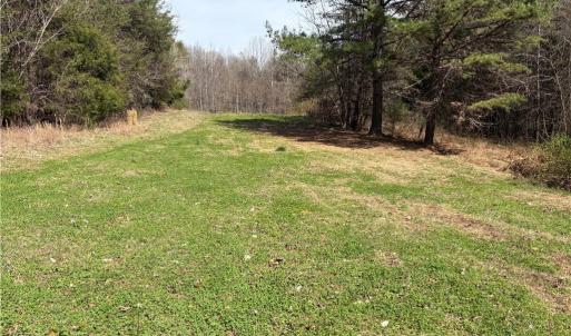 Photo #19 of Doll Branch, Milton, NC 64.7 acres