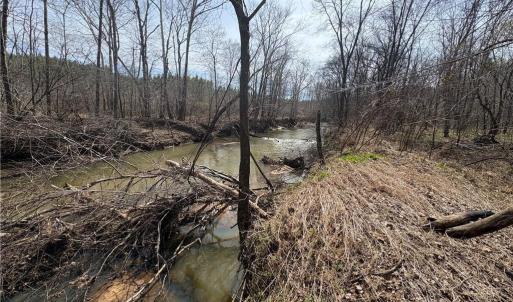 Photo #31 of Doll Branch, Milton, NC 64.7 acres