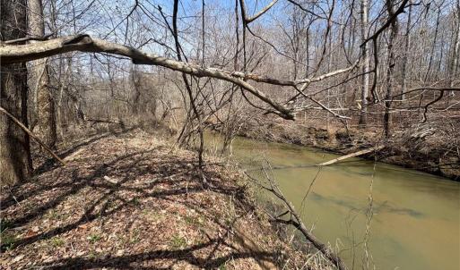 Photo #29 of Doll Branch, Milton, NC 64.7 acres
