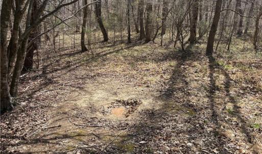 Photo #25 of Doll Branch, Milton, NC 64.7 acres