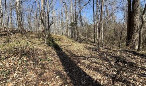 Photo #27 of 152 Paw Paw, Mocksville, NC 7.3 acres