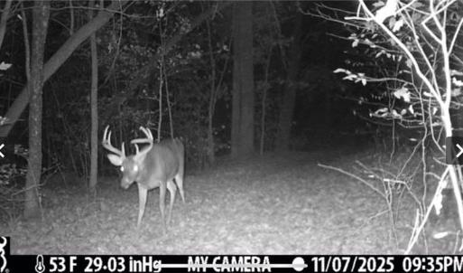 Photo #42 of 152 Paw Paw, Mocksville, NC 7.3 acres