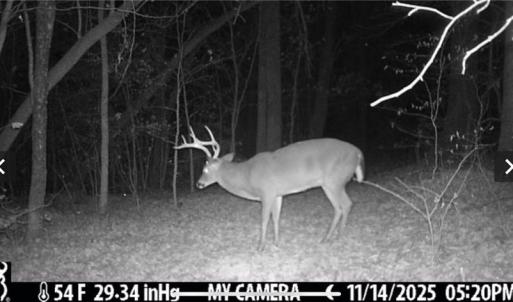 Photo #43 of 152 Paw Paw, Mocksville, NC 7.3 acres