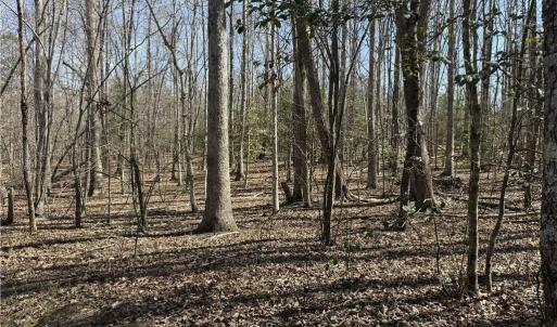 Photo #36 of 152 Paw Paw, Mocksville, NC 7.3 acres