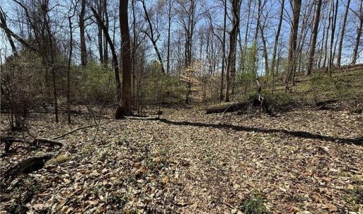 Photo #28 of 152 Paw Paw, Mocksville, NC 7.3 acres