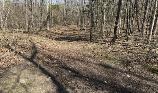 Photo #34 of 152 Paw Paw, Mocksville, NC 7.3 acres