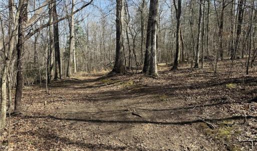 Photo #38 of 152 Paw Paw, Mocksville, NC 7.3 acres