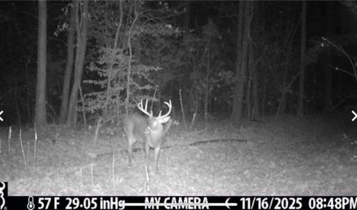 Photo #44 of 152 Paw Paw, Mocksville, NC 7.3 acres