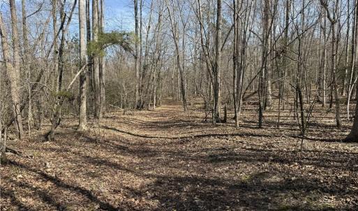 Photo #35 of 152 Paw Paw, Mocksville, NC 7.3 acres