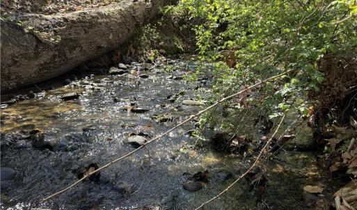 Photo #29 of 152 Paw Paw, Mocksville, NC 7.3 acres