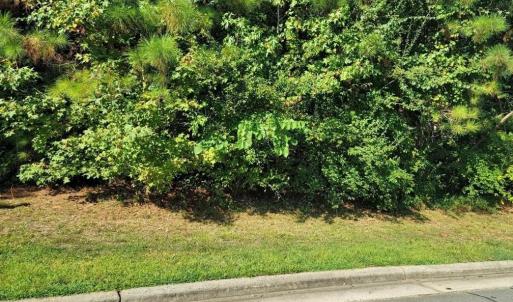 Photo #1 of 36 Bur oak, Pittsboro, NC 0.5 acres