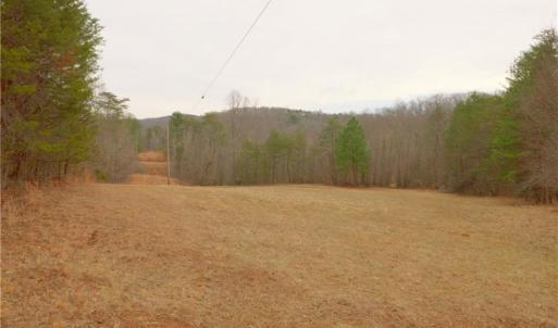 Photo #7 of 3331 NC Highway 66, Westfield, NC 13.0 acres