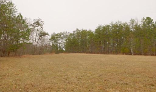 Photo #9 of 3331 NC Highway 66, Westfield, NC 13.0 acres