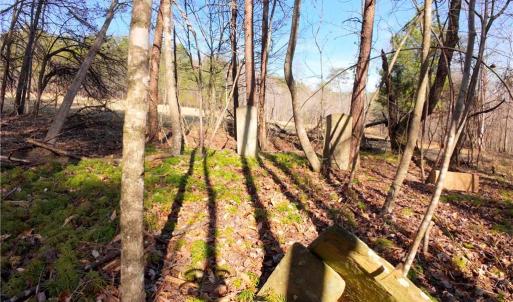 Photo #18 of 3331 NC Highway 66, Westfield, NC 13.0 acres