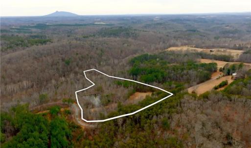 Photo #12 of 3331 NC Highway 66, Westfield, NC 13.0 acres