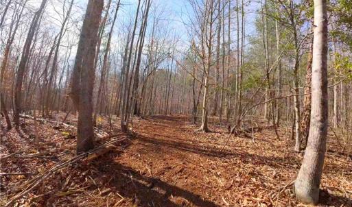 Photo #11 of 3331 NC Highway 66, Westfield, NC 13.0 acres