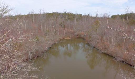 Photo #19 of 3331 NC Highway 66, Westfield, NC 13.0 acres