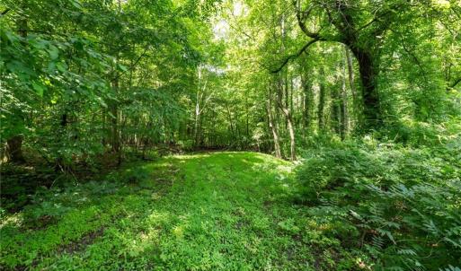 Photo #4 of 6910 Long Meadow, Whitsett, NC 20.6 acres