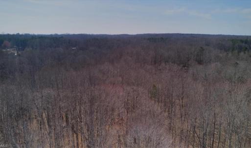 Photo #15 of 6910 Long Meadow, Whitsett, NC 20.6 acres