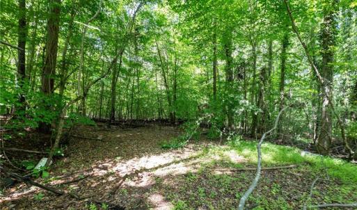 Photo #5 of 6910 Long Meadow, Whitsett, NC 20.6 acres