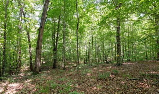 Photo #6 of 6910 Long Meadow, Whitsett, NC 20.6 acres